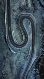 1734386137512.png