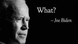 1734427827676.jpeg 1734427827676.jpeg