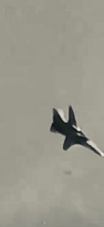 IMG_0883.jpeg