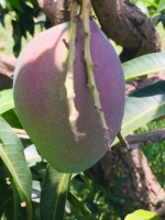 1704748156347.png