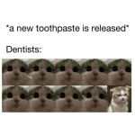 1734818503666.png