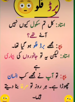 1735085447227.png