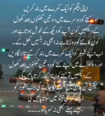 1735161024667.png