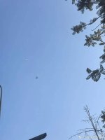 IMG_1898.jpeg