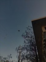 IMG_8200.jpeg