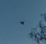 IMG_8199.jpeg