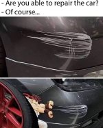 1735743529043.jpeg
