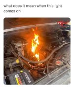 1735744410281.jpeg
