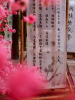 跨越时空，“电影里”与您共赏汉服之美_5_洛带电影里_来自小红书网页版.jpg