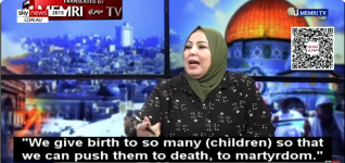 Screenshot 2024-08-23 at 00-29-59 ‘Show what ABC won’t’ Gaza ‘culture’ shocks Australians amid...png