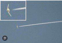 IMG_4479.jpeg