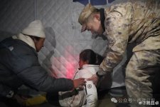 调整大小 006Vplemgy1hxd1yce14gj34mo3347wm.jpg