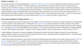 Screenshot 2025-01-08 at 21-12-23 Human rights in Turkey - Wikipedia.png