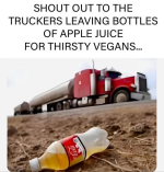 1736463527958.png