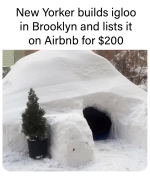 1736463699933.png