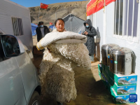V4BjYJUVa9P8Rww9.png
