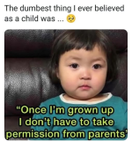 1736804235078.png