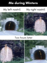 1736896437393.png