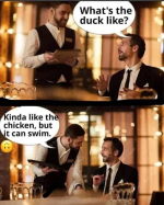 1736975383872.png
