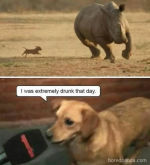 1737054270491.png