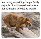 1737054614678.png