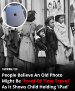 1737060540263.png