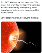 1737060889032.png