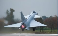 IMG_1431.jpeg