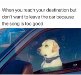1737244299471.png