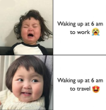 1737244369985.png