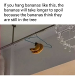 1737244639876.png