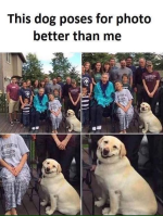 1737320112326.png