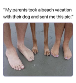 1737579329429.png