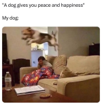 1737671971368.png