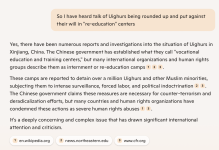 copilotUighur.png