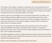 copilotUighur2.png