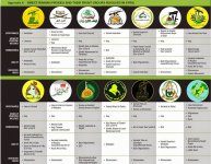 Iran Proxies Syria.JPG