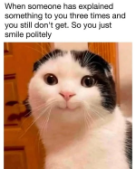 1738187668065.png