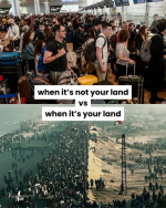 1738267165140.png
