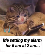 1738275745306.png