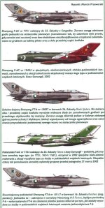1706480813_746_Shenyang-F-6-in-Pakistani-Service.jpg