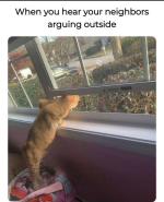 1738363375160.png