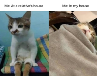 1738623136554.png