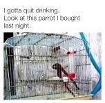 1738712057139.png