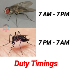 1738881609347.png