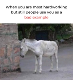 1738962167573.png