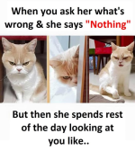 1738962202429.png