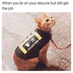 1739047849184.png