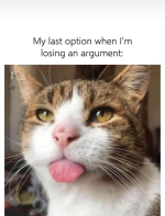 1739228436753.png