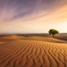 Desert